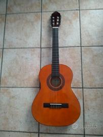 Eko guitar