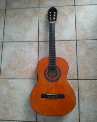 Eko guitar