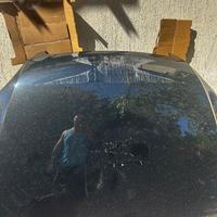 Cofano anteriore Audi TT 2011