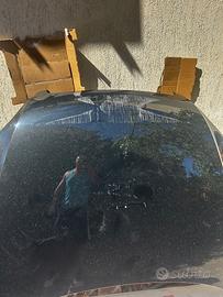 Cofano anteriore Audi TT 2011