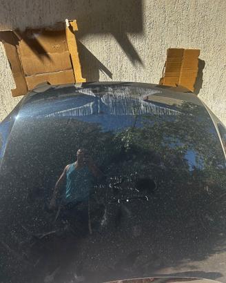 Cofano anteriore Audi TT 2011