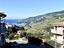 Immagine 7