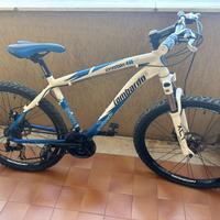 Mountain bike Lombardo Alverstone 400