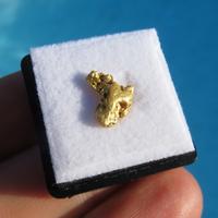 Minerali *** RARA PEPITA d'ORO NATURALE Australia
