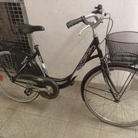 bici donna raggio 26 