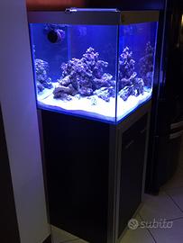 Acquario marino