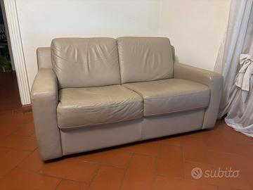 Due divani in pelle