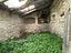 Immagine 8