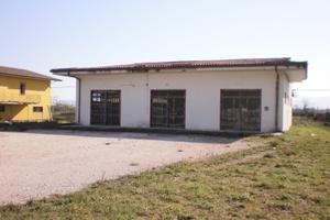 Struttura commerciale