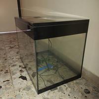 Acquario 60 litri