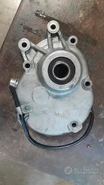 copri rapporti piaggio 