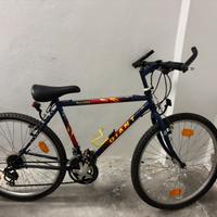 Bici mountain bike giant iguana
