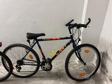 Bici mountain bike giant iguana