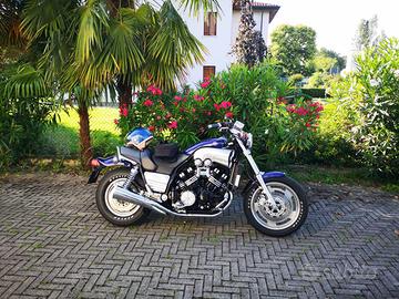 V Max 1200