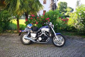 V Max 1200