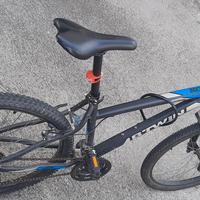 mountain  bike