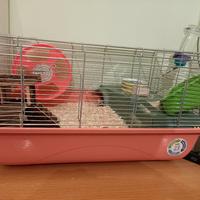 gabbia e accessori per criceti 