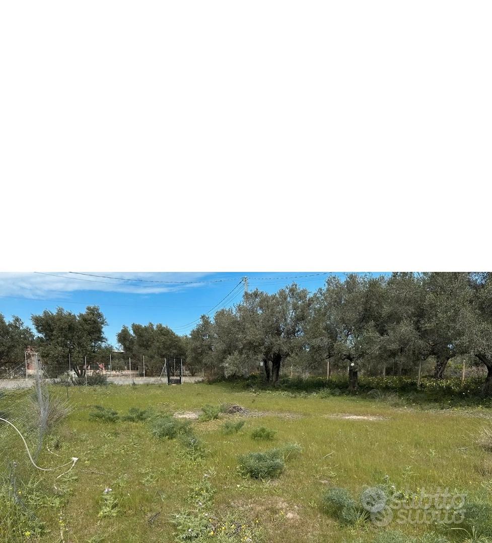 Terreno agricolo 3000 mq - Vista 2