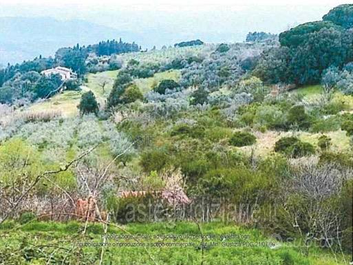 Terreno Agricolo Castellina Marittima [A4314950]