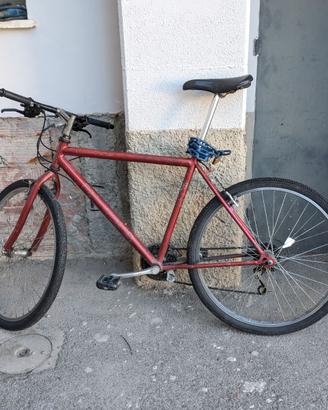 Bici MTB da città MONTANA