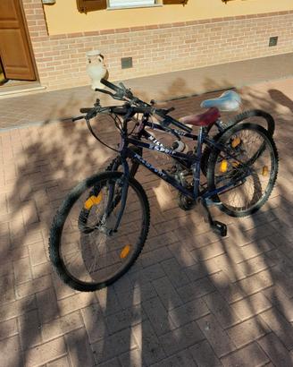 Biciclette