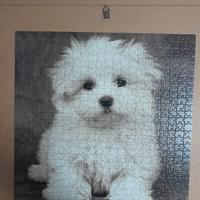 Puzzle cucciolo cane da 572 pezzi (50 x 50 cm)