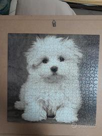 Puzzle cucciolo cane da 572 pezzi (50 x 50 cm)