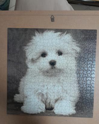 Puzzle cucciolo cane da 572 pezzi (50 x 50 cm)
