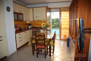 Accogliente trilocale zona nuova