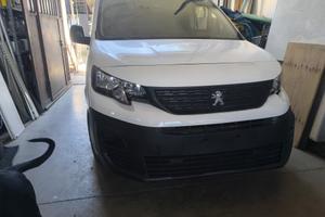 Peugeot pacthenr  2020