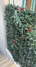 Siepe artificiale Photinia molto folta