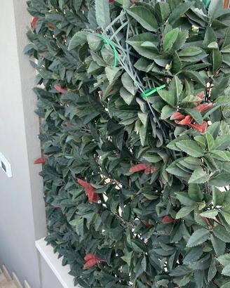 Siepe artificiale Photinia molto folta