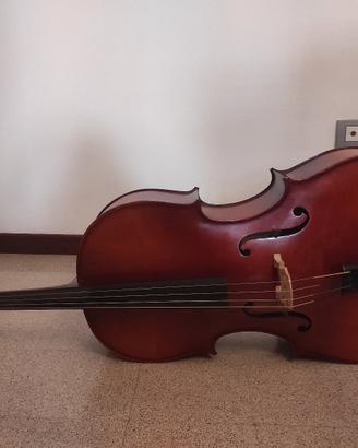 Violoncello 3/4 