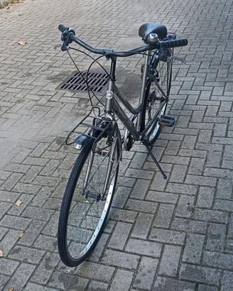 bicicletta donna