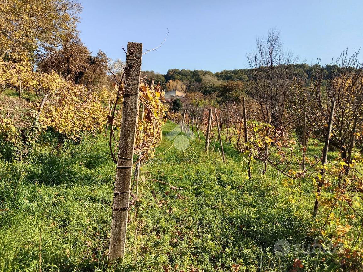TER. AGRICOLO A SAN POTITO ULTRA - Altro