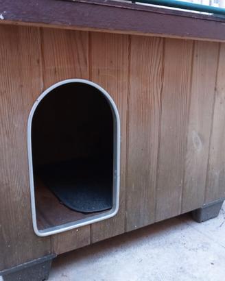 cuccia per cani