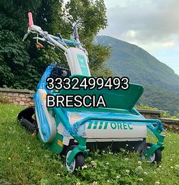 TRINCIA CINGOLATA OREC 