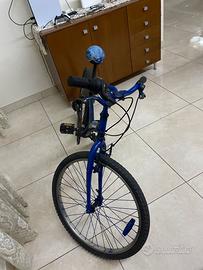 Bicicletta monta bike