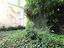 Immagine 15