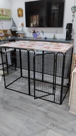 Dog Kennel