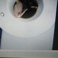 chef serio 