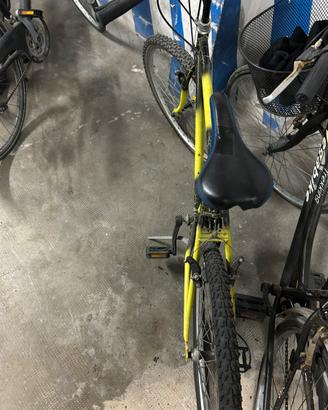 Mountain bike