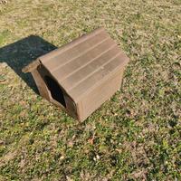 Casetta per cani piccola taglia