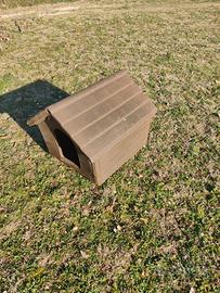 Casetta per cani piccola taglia