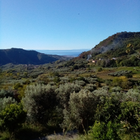 Casale di campagna con terreno