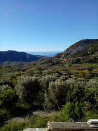 Casale di campagna con terreno