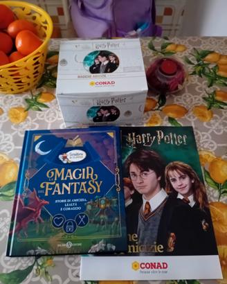 Scatola con Album vuoto Harry Potter 