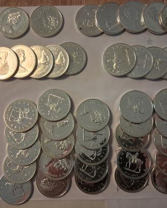 monete 1 dollar argento  canada