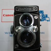 Yashica-D