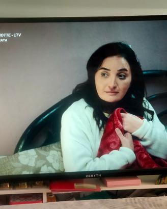 tv zenyth 55 pollici 
